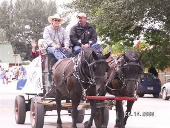 Rodeo Parade Cart